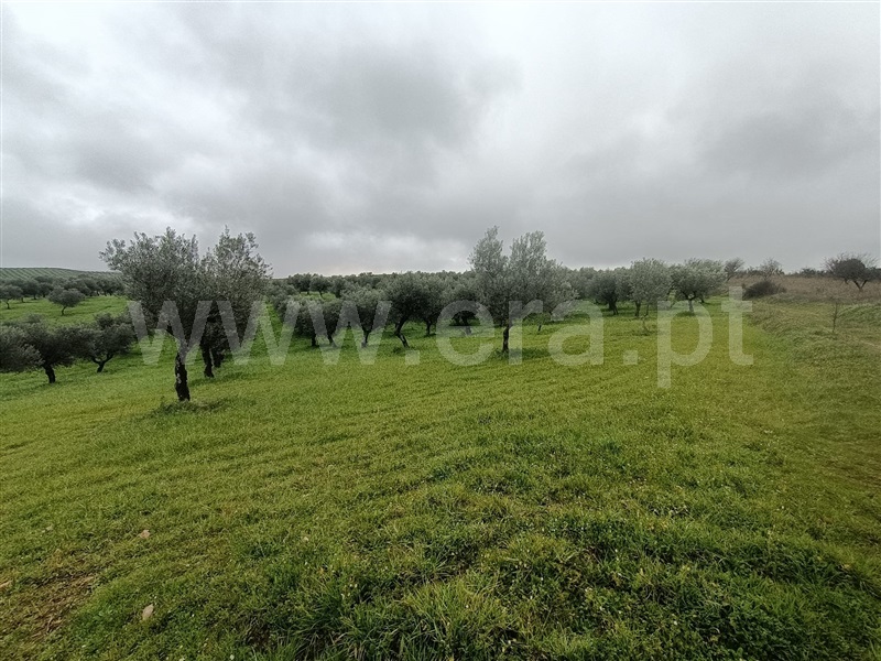 Terreno  Valpaços, Rio Torto - 1374537 - 3