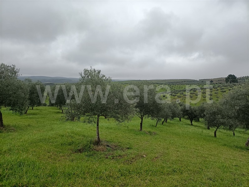 Terreno  Valpaços, Rio Torto - 1374537 - 4