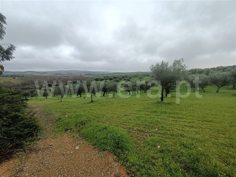 Terreno  Valpaços, Rio Torto - 1374537 - 7
