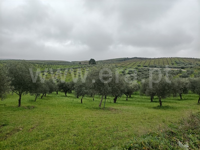Terreno  Valpaços, Rio Torto - 1374537 - 9