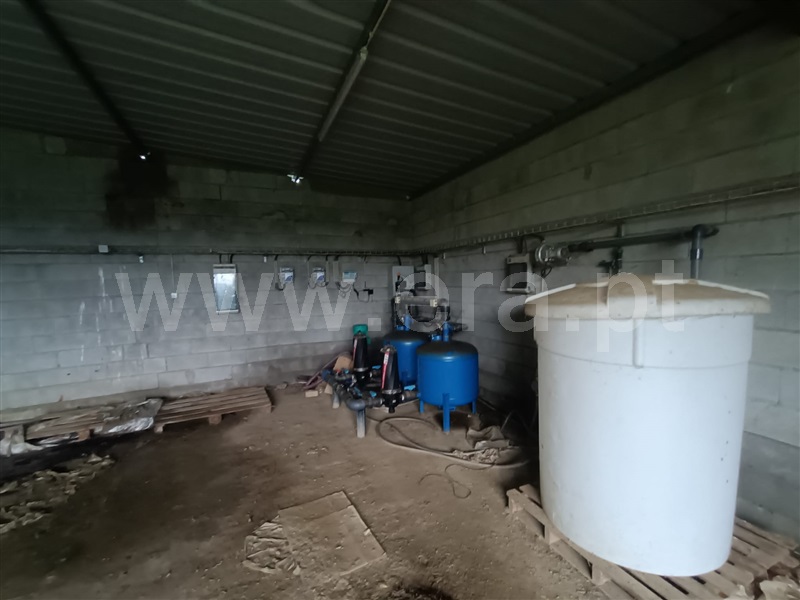 Terreno  Valpaços, Rio Torto - 1374537 - 14