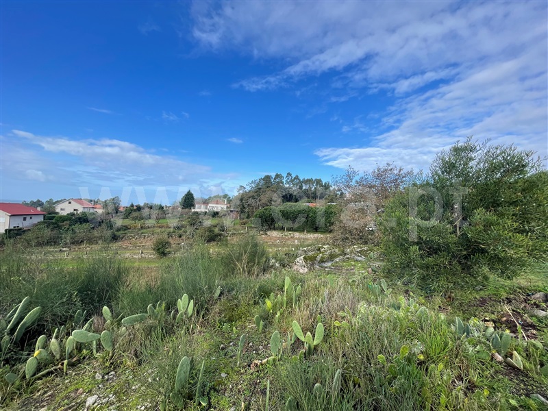 Terreno  Viana do Castelo, Anha - 1365922 - 3