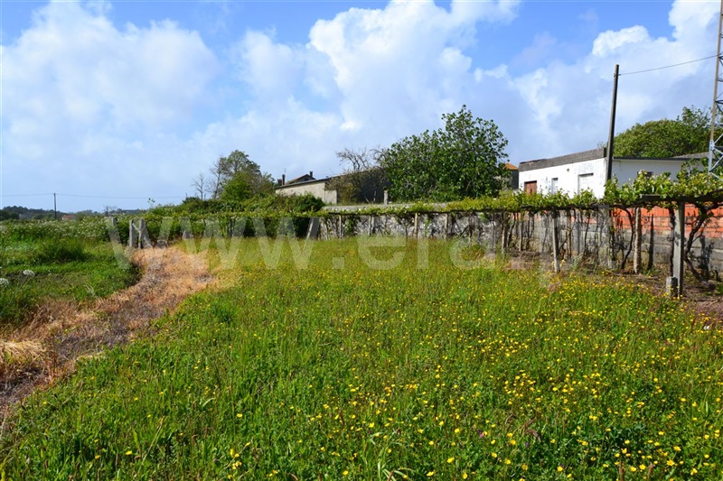 Terreno  Viana do Castelo, Chafé - 1007562 - 7