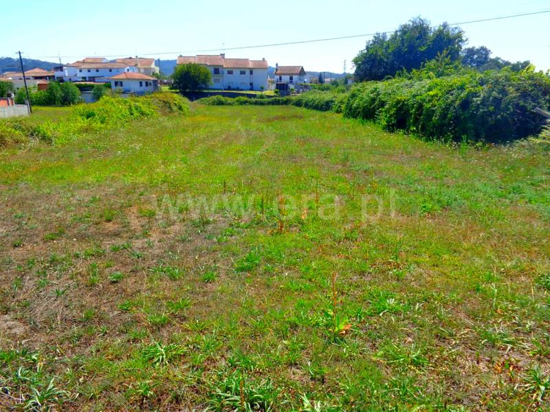 Terreno / Viana do Castelo, Chafé