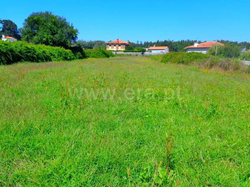 Terreno  Viana do Castelo, Chafé - 672757 - 3