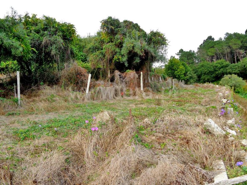 Terreno  Viana do Castelo, Freixieiro de Soutelo - 846975 - 3
