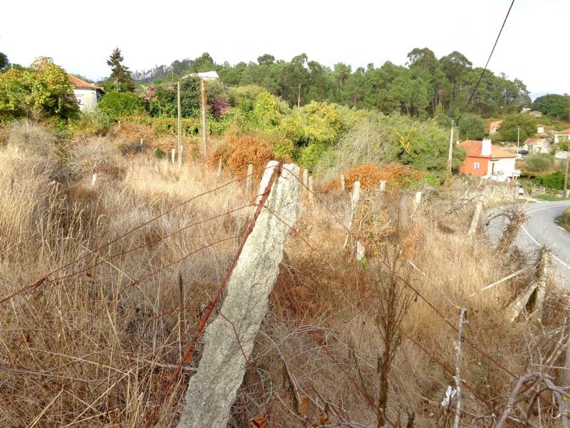 Terreno  Viana do Castelo, Freixieiro de Soutelo - 846975 - 5