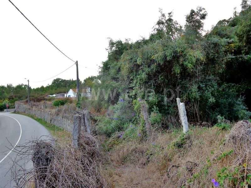 Terreno  Viana do Castelo, Freixieiro de Soutelo - 846975 - 6