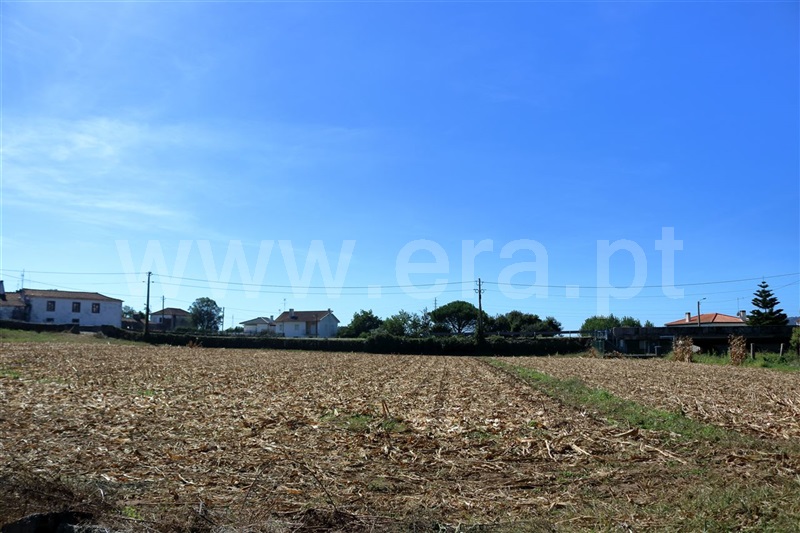 Terreno  Viana do Castelo, Santa Marta de Portuzelo - 950247 - 7