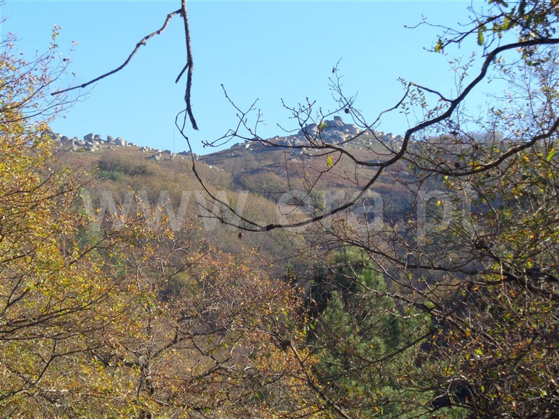 Terreno  Vieira do Minho, Cantelães - 973895 - 7