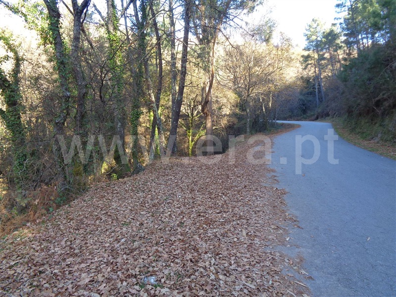 Terreno  Vieira do Minho, Cantelães - 973895 - 11