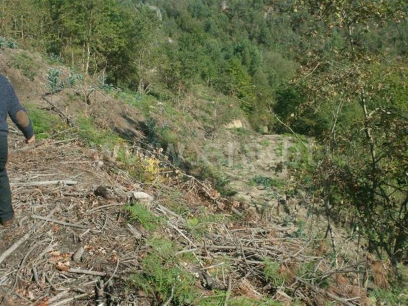 Terreno  Vieira do Minho, Eira Vedra - 479339 - 9