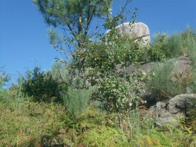 Terreno  Vieira do Minho, Eira Vedra - 479339 - 17