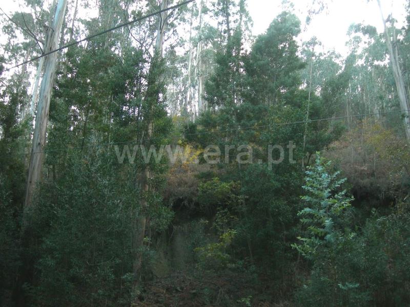 Terreno  Vieira do Minho, Gerês - 546778 - 3