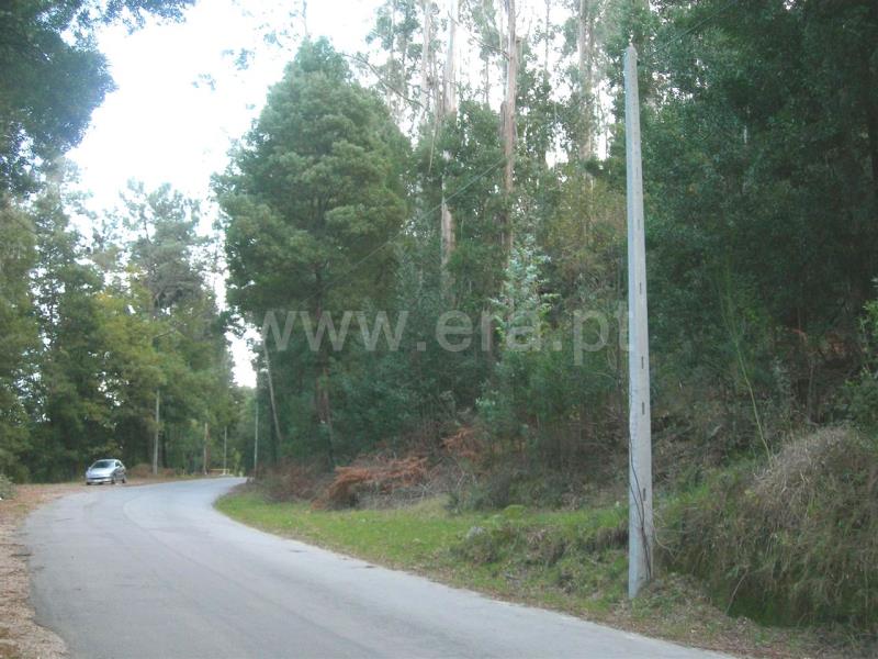 Terreno  Vieira do Minho, Gerês - 546778 - 5