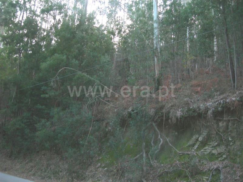 Terreno  Vieira do Minho, Gerês - 546778 - 7