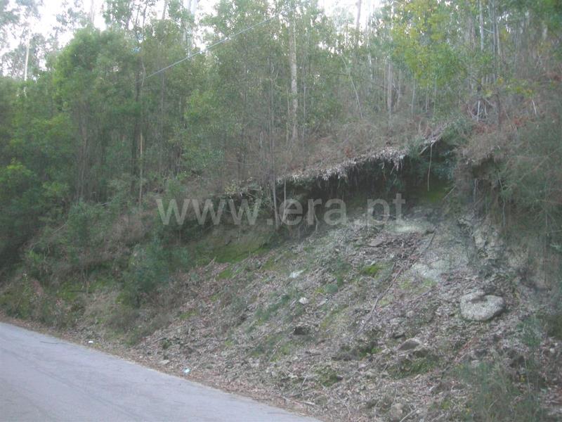 Terreno  Vieira do Minho, Gerês - 546778 - 8