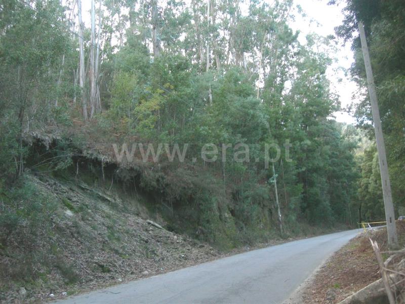Terreno  Vieira do Minho, Gerês - 546778 - 9