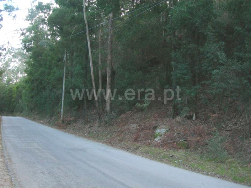 Terreno  Vieira do Minho, Gerês - 546778 - 10