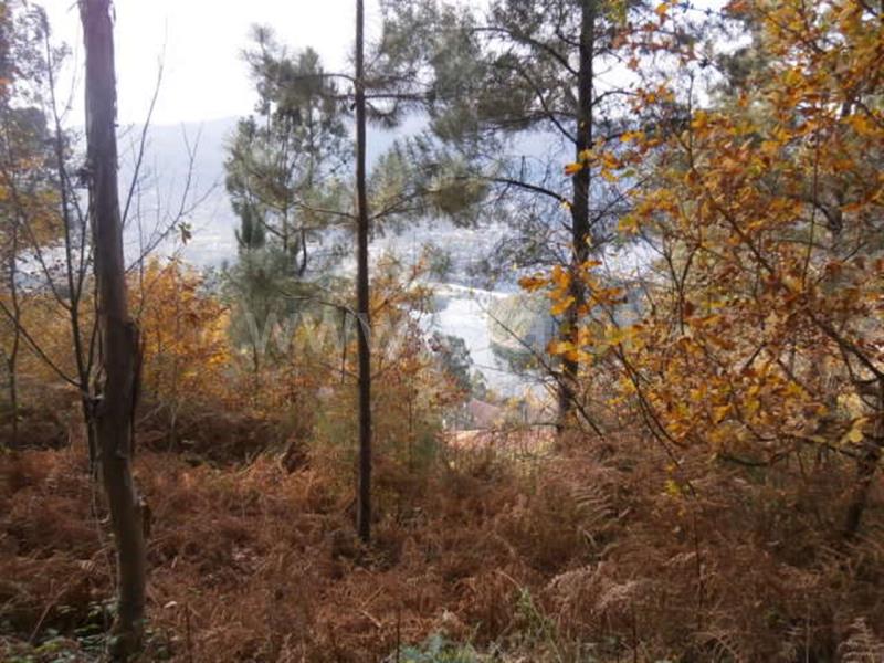 Terreno  Vieira do Minho, Gerês - 550984 - 2