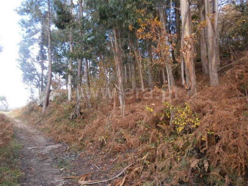 Terreno  Vieira do Minho, Gerês - 550984 - 3