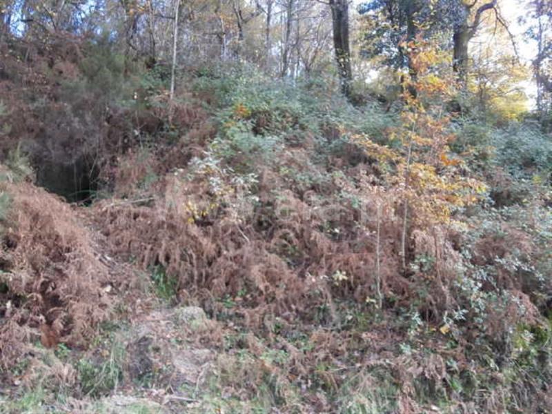 Terreno  Vieira do Minho, Gerês - 550984 - 5