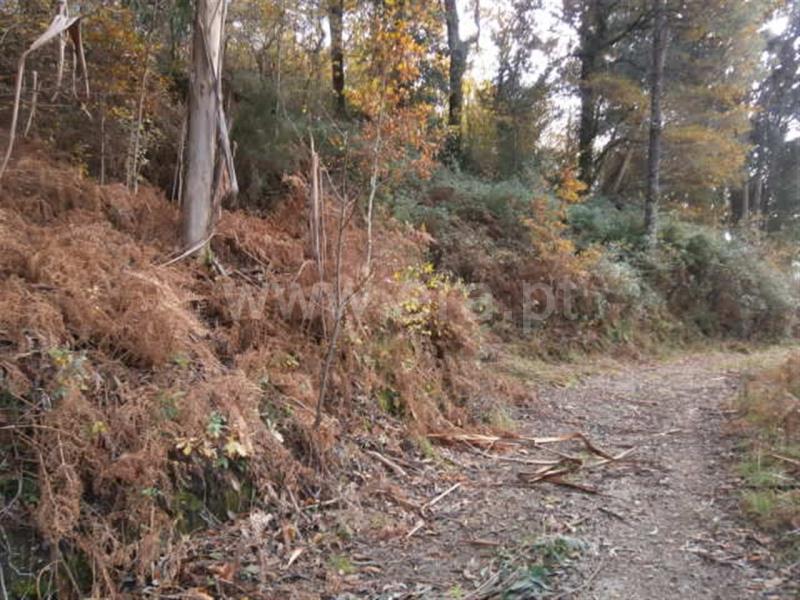 Terreno  Vieira do Minho, Gerês - 550984 - 4