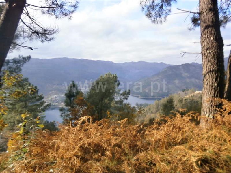 Terreno / Vieira do Minho, Gerês