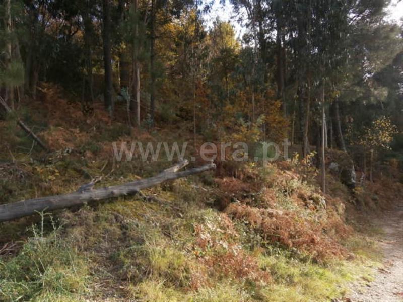Terreno  Vieira do Minho, Gerês - 550984 - 8