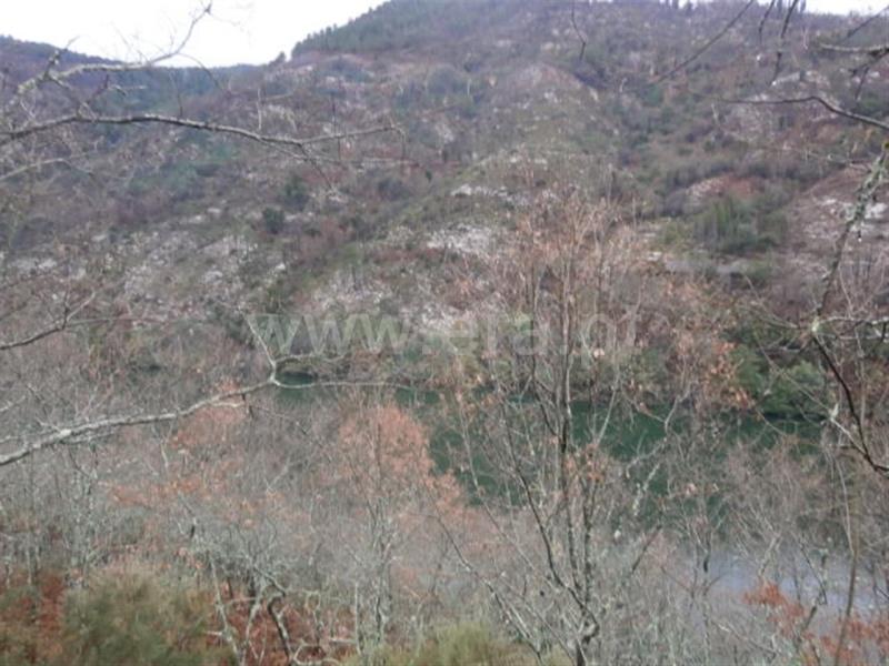 Terreno  Vieira do Minho, Gerês - 553942 - 6