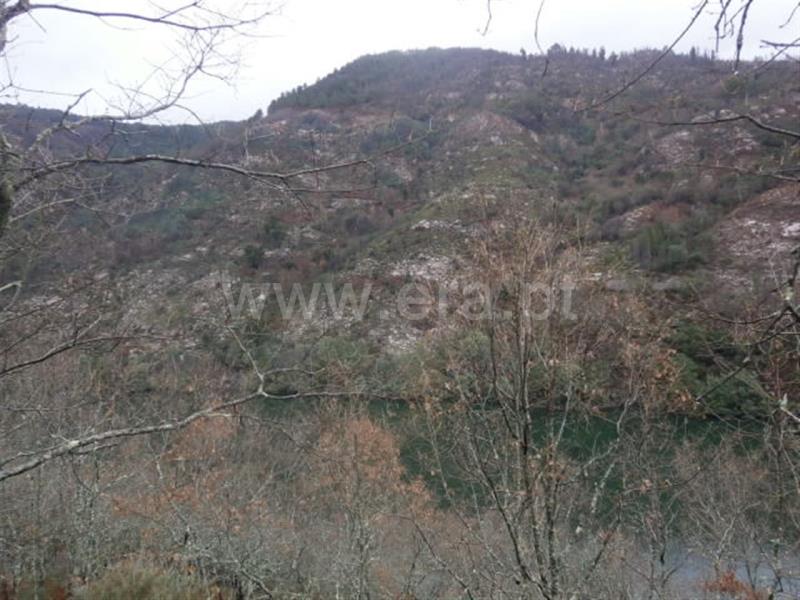 Terreno  Vieira do Minho, Gerês - 553942 - 7