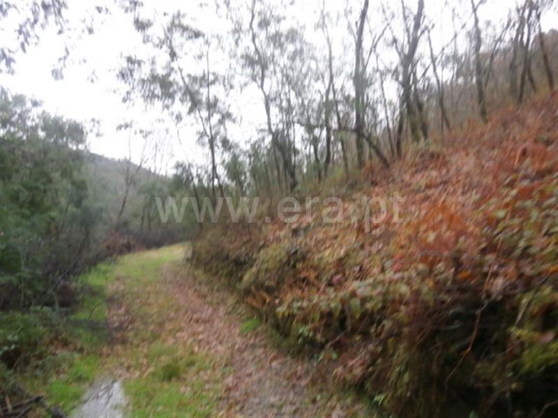 Terreno  Vieira do Minho, Gerês - 553942 - 21