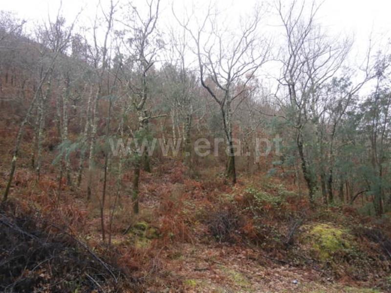 Terreno  Vieira do Minho, Gerês - 553942 - 23