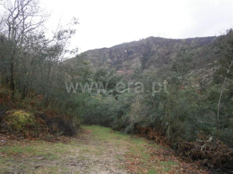 Terreno  Vieira do Minho, Gerês - 553942 - 24
