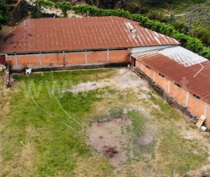 Terreno / Vieira do Minho, Louredo