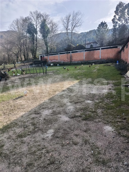 Terreno / Vieira do Minho, Louredo - Prikaz 3