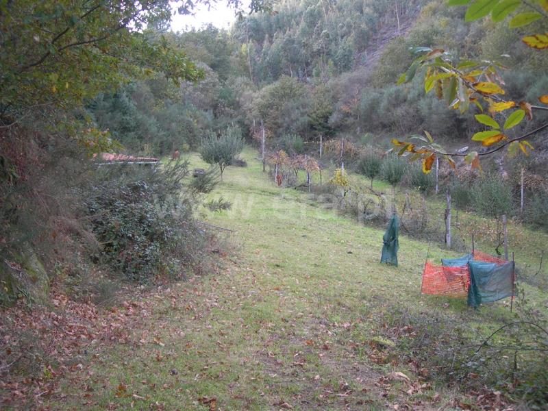 Terreno  Vieira do Minho, Mosteiro - 546777 - 5
