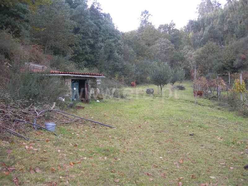 Terreno  Vieira do Minho, Mosteiro - 546777 - 2