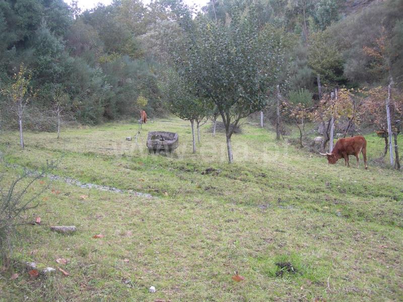 Terreno  Vieira do Minho, Mosteiro - 546777 - 7