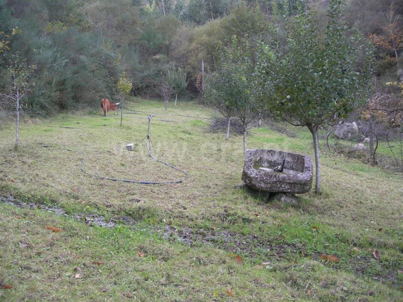 Terreno  Vieira do Minho, Mosteiro - 546777 - 8