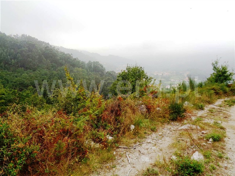 Terreno  Vieira do Minho, Parada do Bouro - 1036128 - 7