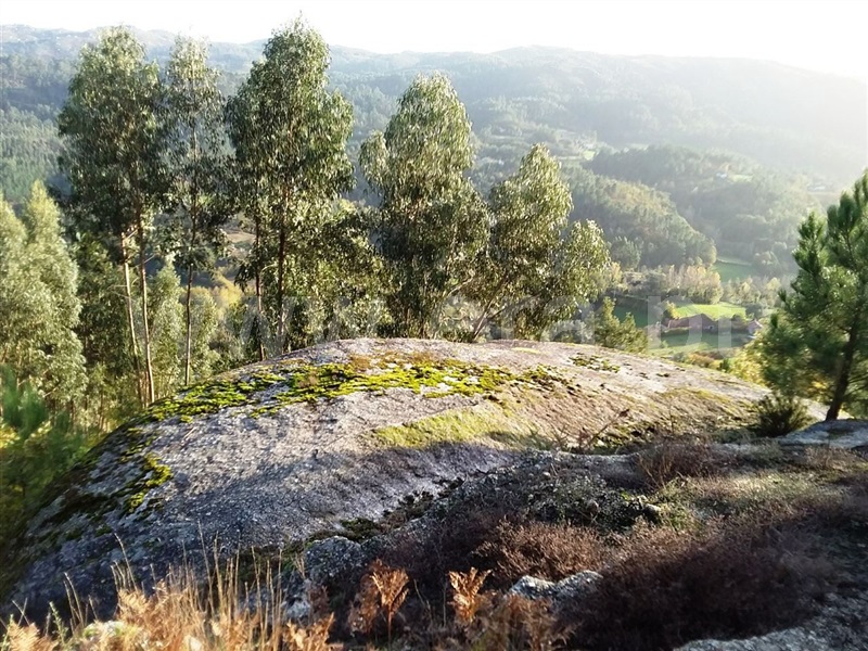 Terreno  Vieira do Minho, Rossas - 1061177 - 2