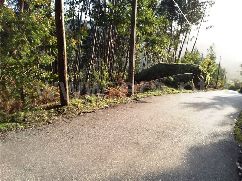 Terreno  Vieira do Minho, Rossas - 1061177 - 6