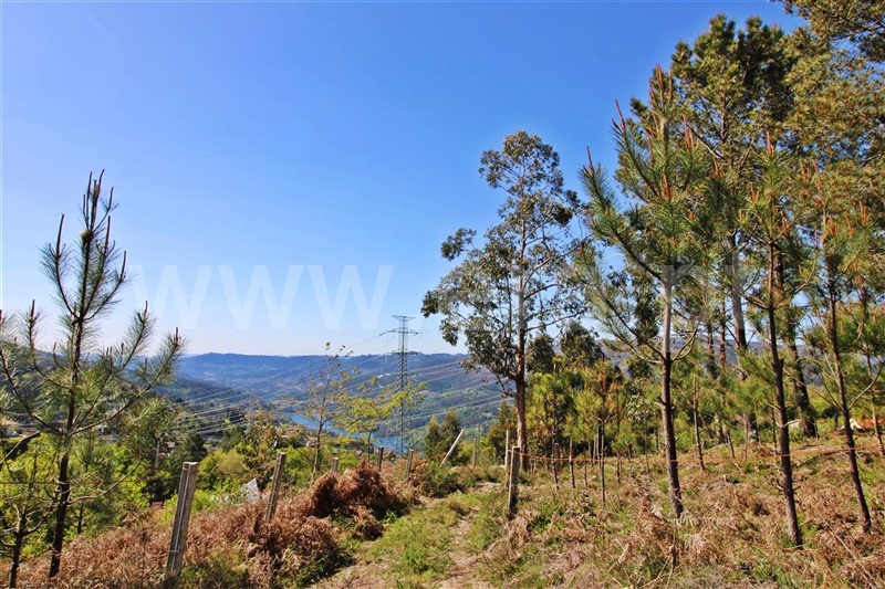 Terreno para Construção  Vieira do Minho, Tabuaças - 1314028 - 3