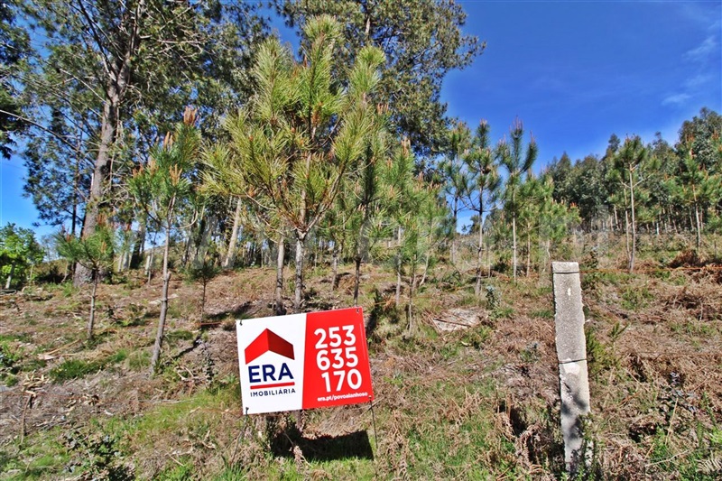 Terreno para Construção  Vieira do Minho, Tabuaças - 1314028 - 4