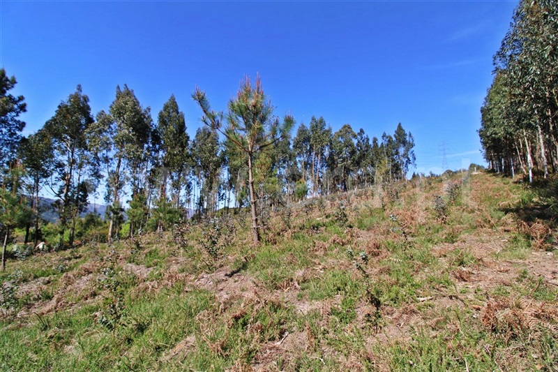 Terreno para Construção  Vieira do Minho, Tabuaças - 1314028 - 5