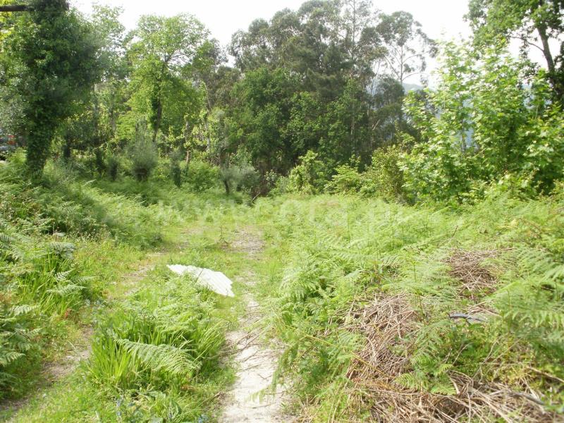 Terreno para Construção  Vieira do Minho, Ventosa e Cova - 546952 - 2
