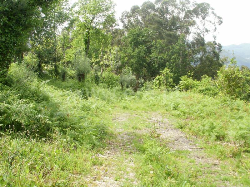 Terreno para Construção  Vieira do Minho, Ventosa e Cova - 546952 - 3