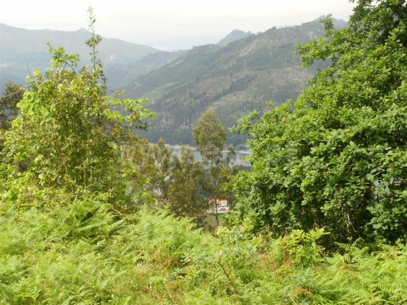 Terreno para Construção  Vieira do Minho, Ventosa e Cova - 546952 - 7