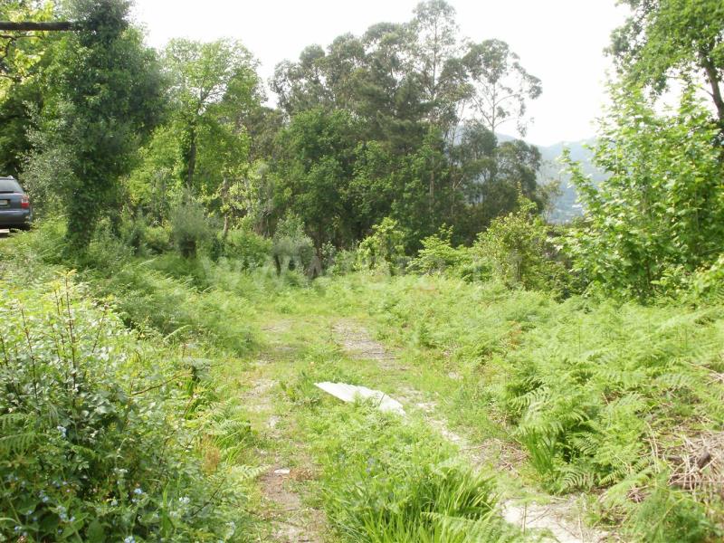 Terreno para Construção  Vieira do Minho, Ventosa e Cova - 546952 - 4